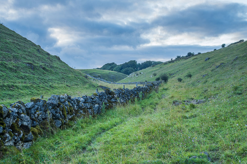 Long Dale